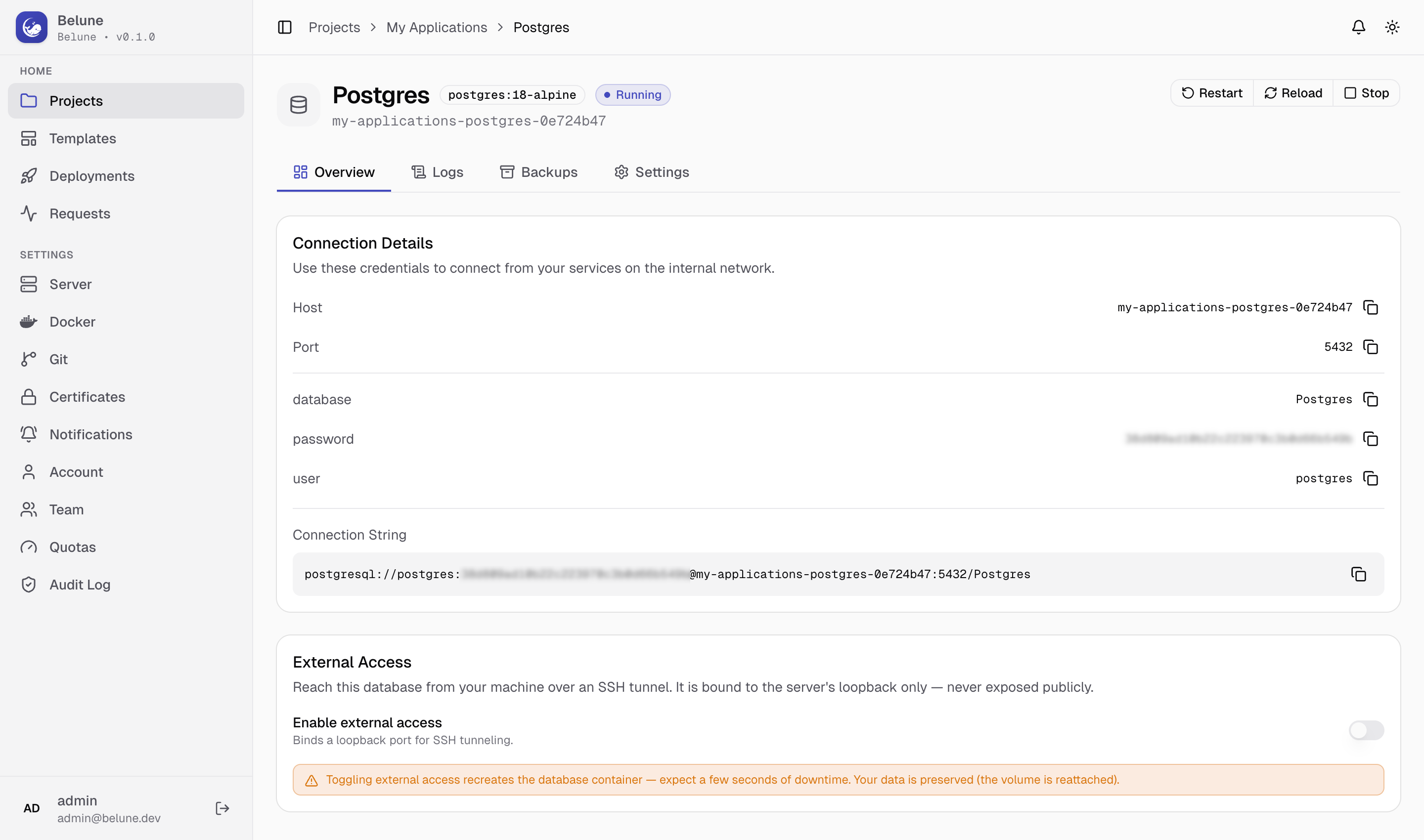 A managed database's overview: connection details and external access.
